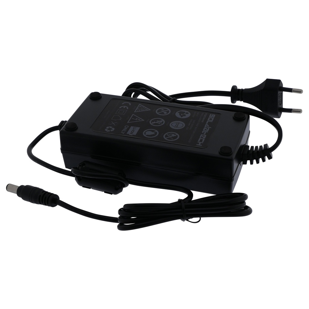 Fast battery charger for EWH5F