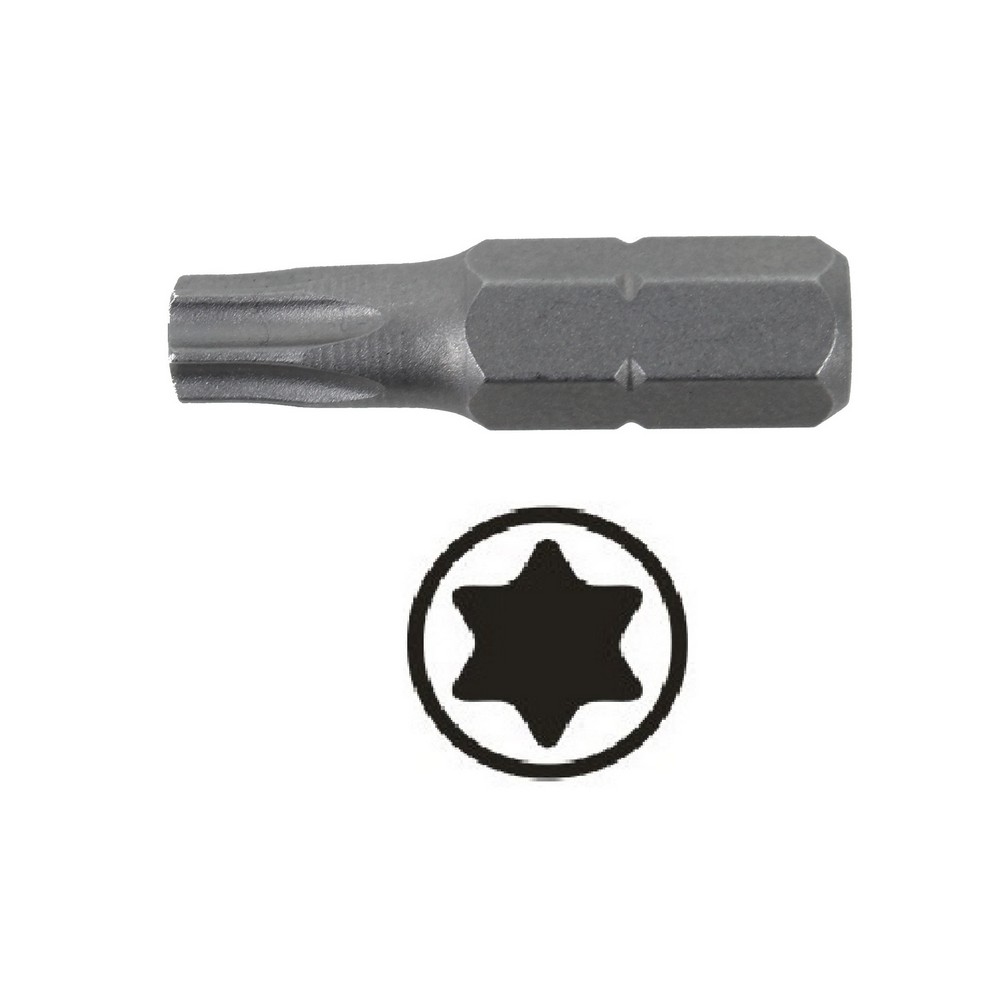 Torxbit T10 25mm