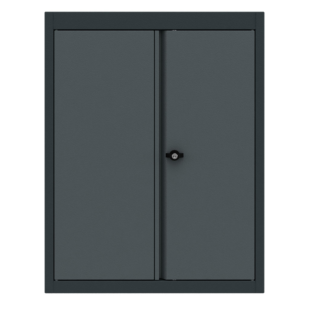 Top cabinet 2 doors low model Expert