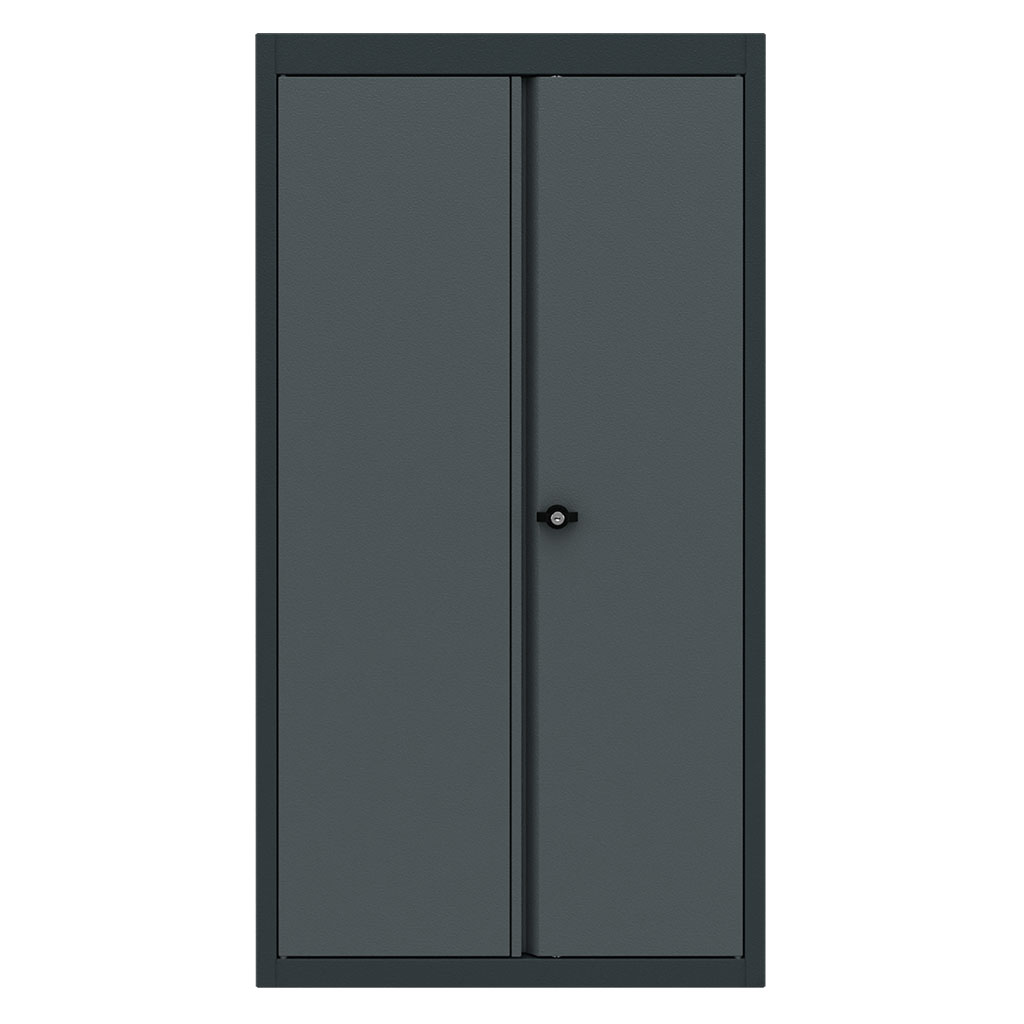 Top cabinet 2 doors Expert