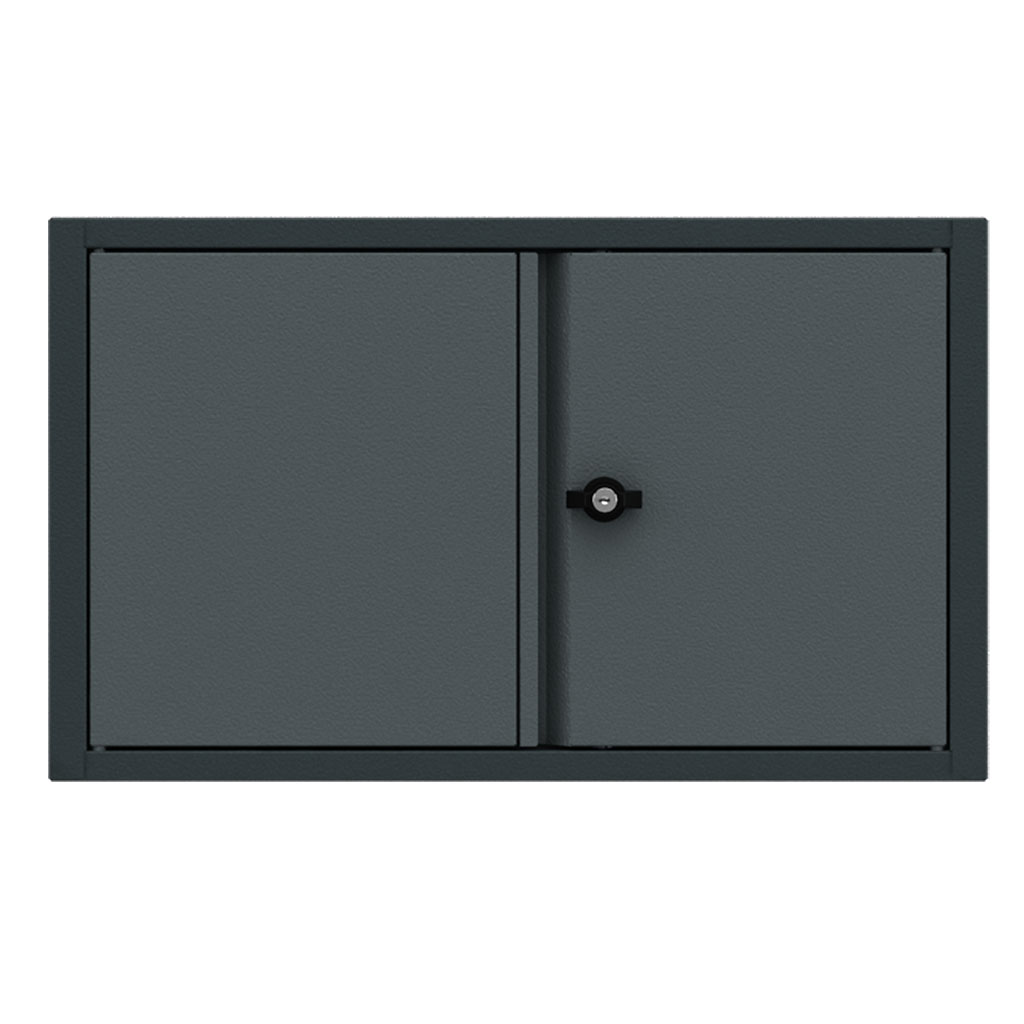 Wall cabinet 2 doors Expert