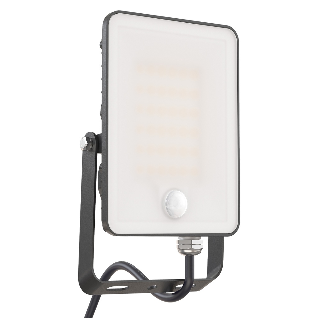 LED Floodlight with Motion Sensor 20W 230V