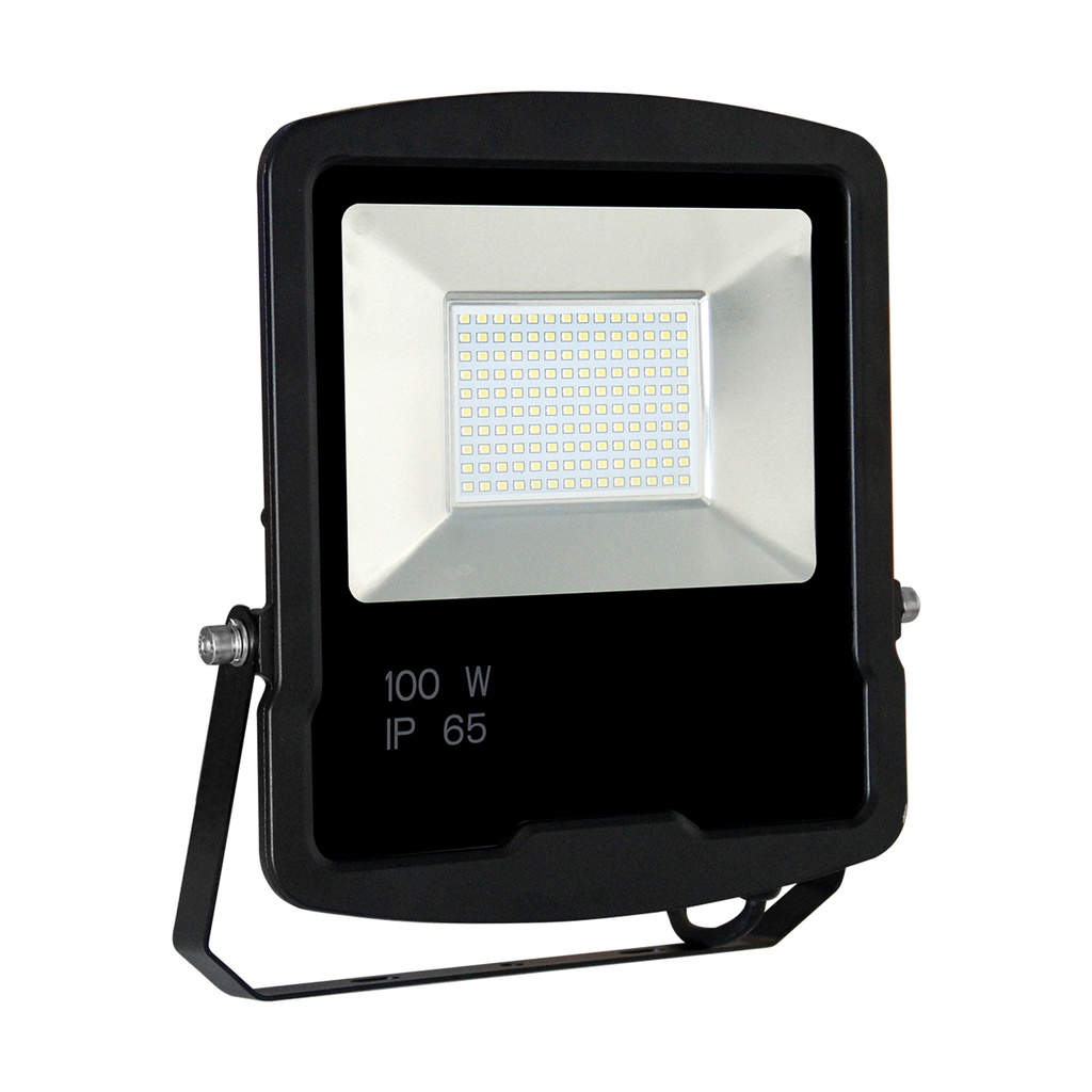 LED Flutlicht 100W 230V